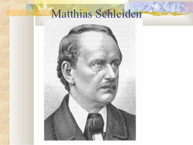 Singles schleiden