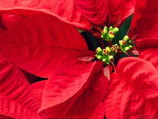 vendredi 10 juillet 2009
 