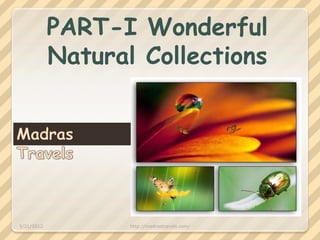 PART-I Wonderful
            Natural Collections




5/21/2012          http://madrastravels.com/
 