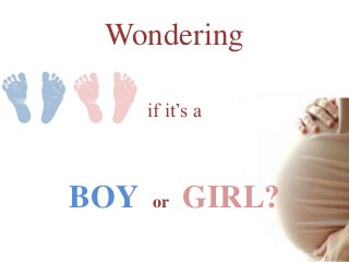 Wondering
if it’s a

BOY

or

GIRL?

 