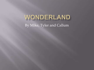 Wonderland By Mike, Tyler and Callum 