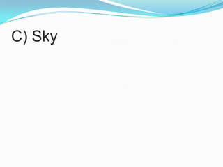 C) Sky