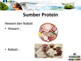 Sumber Protein
Hewani dan Nabati
• Hewani :
• Nabati :
 