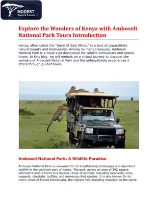 Explore the Wonders of Kenya with Amboseli
National Park Tours Introduction
Kenya, often called the "Jewel of East Africa," is a land of unparalleled
natural beauty and biodiversity. Among its many treasures, Amboseli
National Park is a must-visit destination for wildlife enthusiasts and nature
lovers. In this blog, we will embark on a virtual journey to discover the
wonders of Amboseli National Park and the unforgettable experiences it
offers through guided tours.
Amboseli National Park: A Wildlife Paradise
Amboseli National Park is renowned for its breathtaking landscapes and abundant
wildlife in the southern part of Kenya. The park covers an area of 392 square
kilometers and is home to a diverse range of animals, including elephants, lions,
leopards, cheetahs, buffalo, and numerous bird species. It is also known for its
iconic views of Mount Kilimanjaro, the highest free-standing mountain in the world.
 