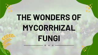 THE WONDERS OF
MYCORRHIZAL
FUNGI
 