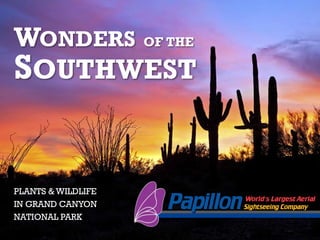 WONDERS OF THE 
SOUTHWEST 
PLANTS & WILDLIFE 
IN GRAND CANYON 
NATIONAL PARK 
 