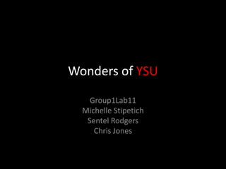 Wonders of YSU
Group1Lab11
Michelle Stipetich
Sentel Rodgers
Chris Jones
 