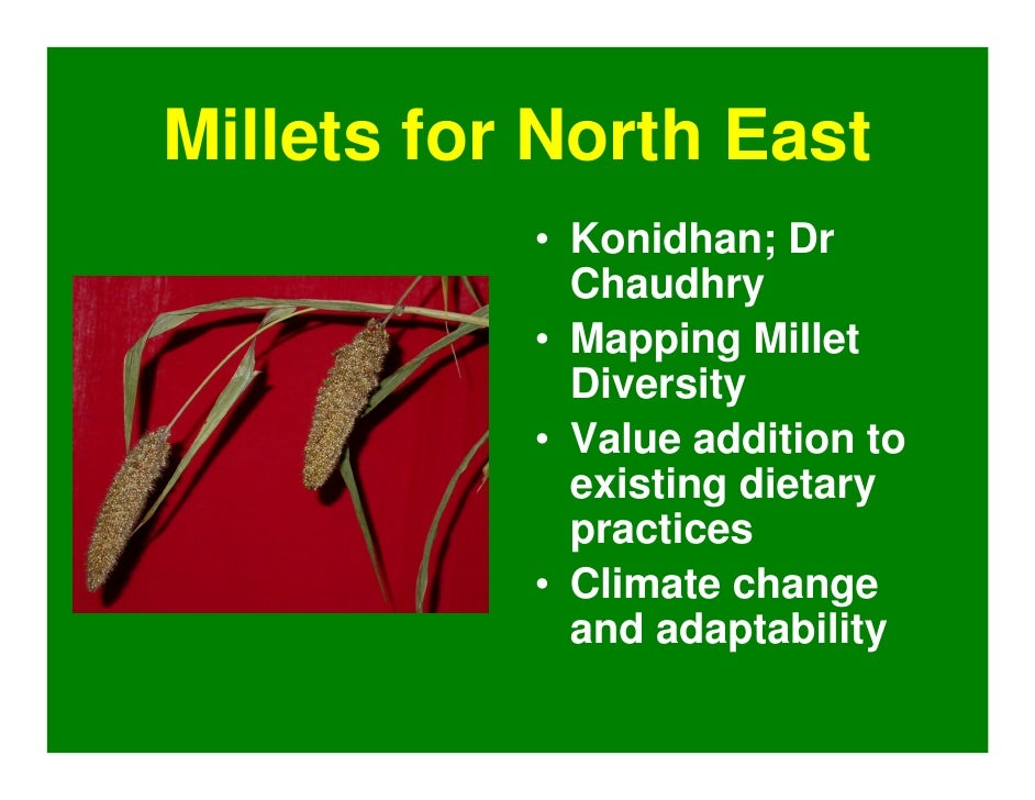 Wonder World Of Millets