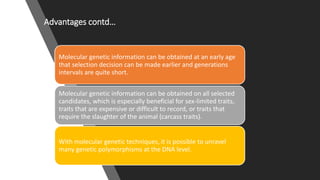 Practical application of advanced molecular techniques in the improvement of animal agriculture: The cases of camel, cattle, sheep, goat, donkeys and chicken in Ethiopia