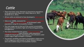 Practical application of advanced molecular techniques in the improvement of animal agriculture: The cases of camel, cattle, sheep, goat, donkeys and chicken in Ethiopia