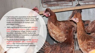 Practical application of advanced molecular techniques in the improvement of animal agriculture: The cases of camel, cattle, sheep, goat, donkeys and chicken in Ethiopia
