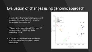 Practical application of advanced molecular techniques in the improvement of animal agriculture: The cases of camel, cattle, sheep, goat, donkeys and chicken in Ethiopia
