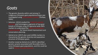 Practical application of advanced molecular techniques in the improvement of animal agriculture: The cases of camel, cattle, sheep, goat, donkeys and chicken in Ethiopia