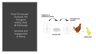 Practical application of advanced molecular techniques in the improvement of animal agriculture: The cases of camel, cattle, sheep, goat, donkeys and chicken in Ethiopia