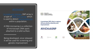 Practical application of advanced molecular techniques in the improvement of animal agriculture: The cases of camel, cattle, sheep, goat, donkeys and chicken in Ethiopia