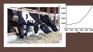 Practical application of advanced molecular techniques in the improvement of animal agriculture: The cases of camel, cattle, sheep, goat, donkeys and chicken in Ethiopia