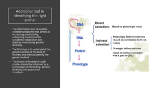 Practical application of advanced molecular techniques in the improvement of animal agriculture: The cases of camel, cattle, sheep, goat, donkeys and chicken in Ethiopia