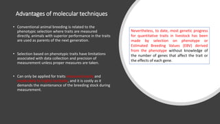 Practical application of advanced molecular techniques in the improvement of animal agriculture: The cases of camel, cattle, sheep, goat, donkeys and chicken in Ethiopia