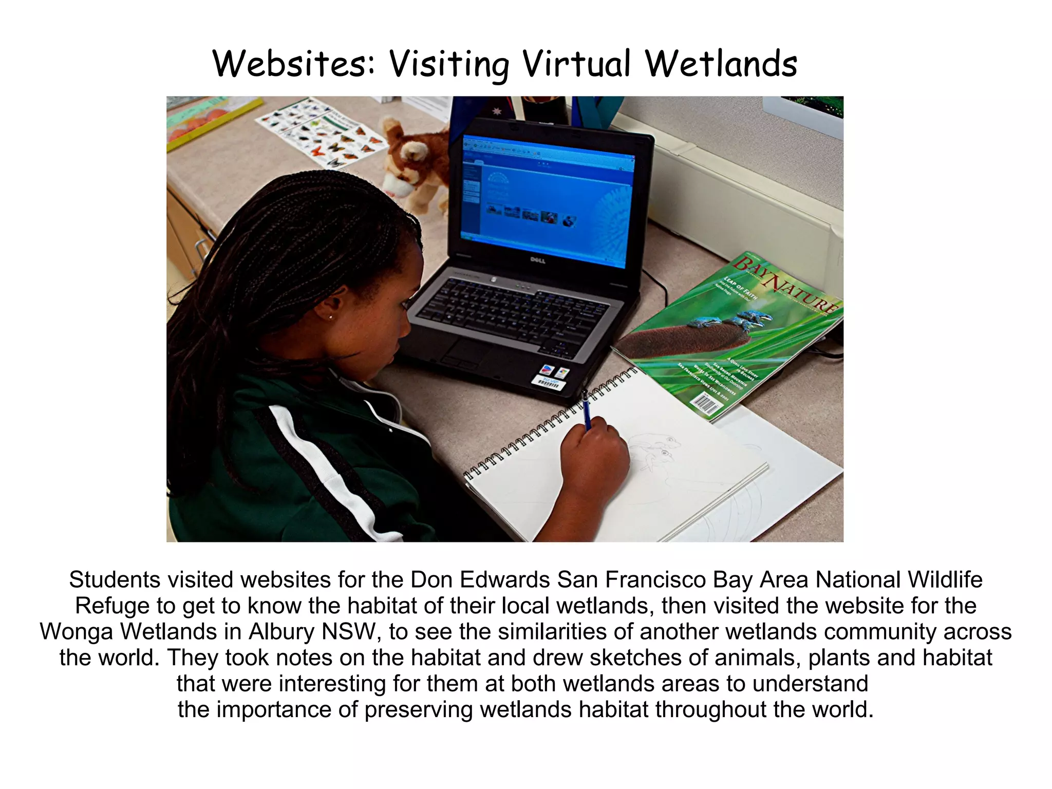 Students visited websites for the Don Edwards San Francisco Bay Area National Wildlife Refuge to get to know the habitat of their local wetlands, then visited the website for the Wonga Wetlands in Albury NSW, to see the similarities of another wetlands community across the world. They took notes on the habitat and drew sketches of animals, plants and habitat that were interesting for them at both wetlands areas to understand  the importance of preserving wetlands habitat throughout the world. Websites: Visiting Virtual Wetlands 