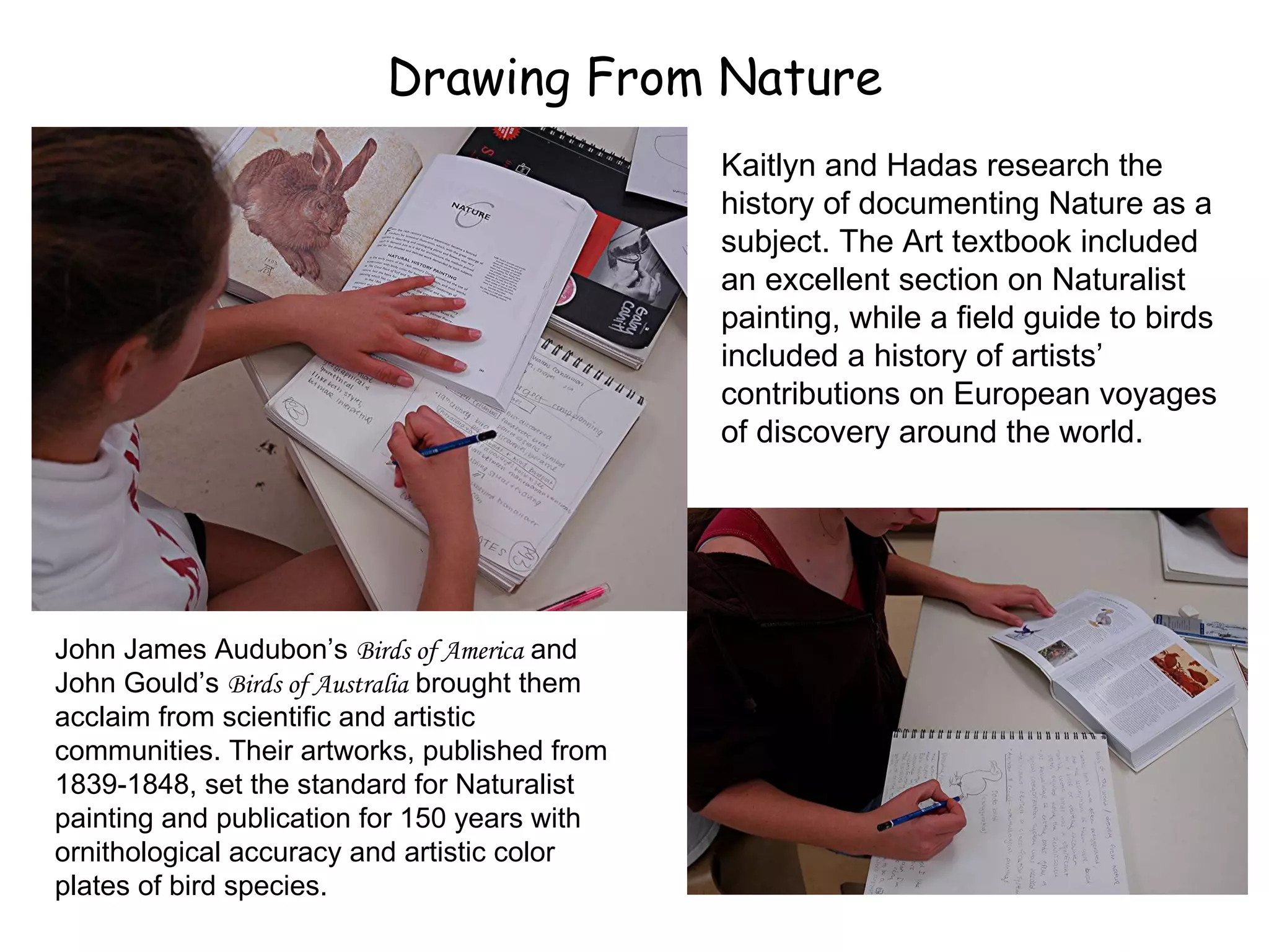 Drawing From Nature John James Audubon’s  Birds of America  and John Gould’s  Birds of Australia  brought them acclaim from scientific and artistic communities. Their artworks, published from 1839-1848, set the standard for Naturalist painting and publication for 150 years with ornithological accuracy and artistic color plates of bird species.   Kaitlyn and Hadas research the history of documenting Nature as a subject. The Art textbook included an excellent section on Naturalist painting, while a field guide to birds included a history of artists’ contributions on European voyages of discovery around the world. 