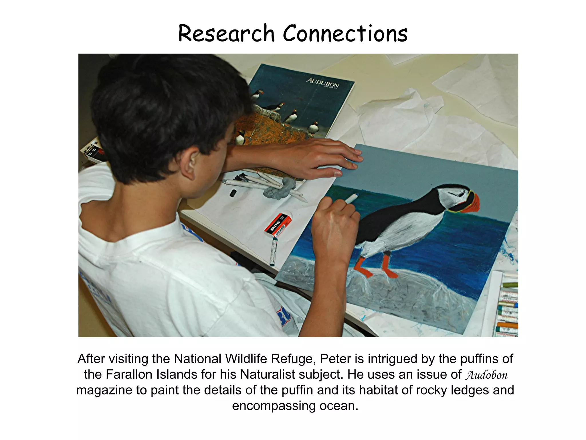 Research Connections After visiting the National Wildlife Refuge, Peter is intrigued by the puffins of the Farallon Islands for his Naturalist subject. He uses an issue of  Audobon  magazine to paint the details of the puffin and its habitat of rocky ledges and encompassing ocean. 