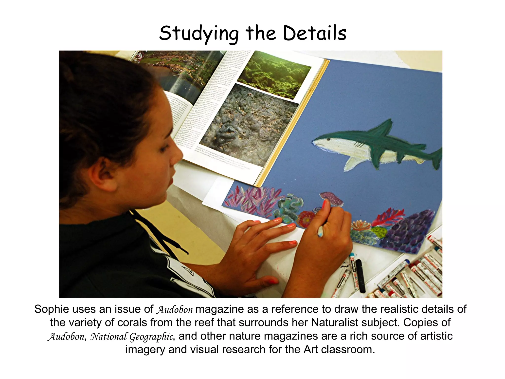 Studying the Details Sophie uses an issue of  Audobon  magazine as a reference to draw the realistic details of the variety of corals from the reef that surrounds her Naturalist subject. Copies of  Audobon ,  National Geographic , and other nature magazines are a rich source of artistic imagery and visual research for the Art classroom. 