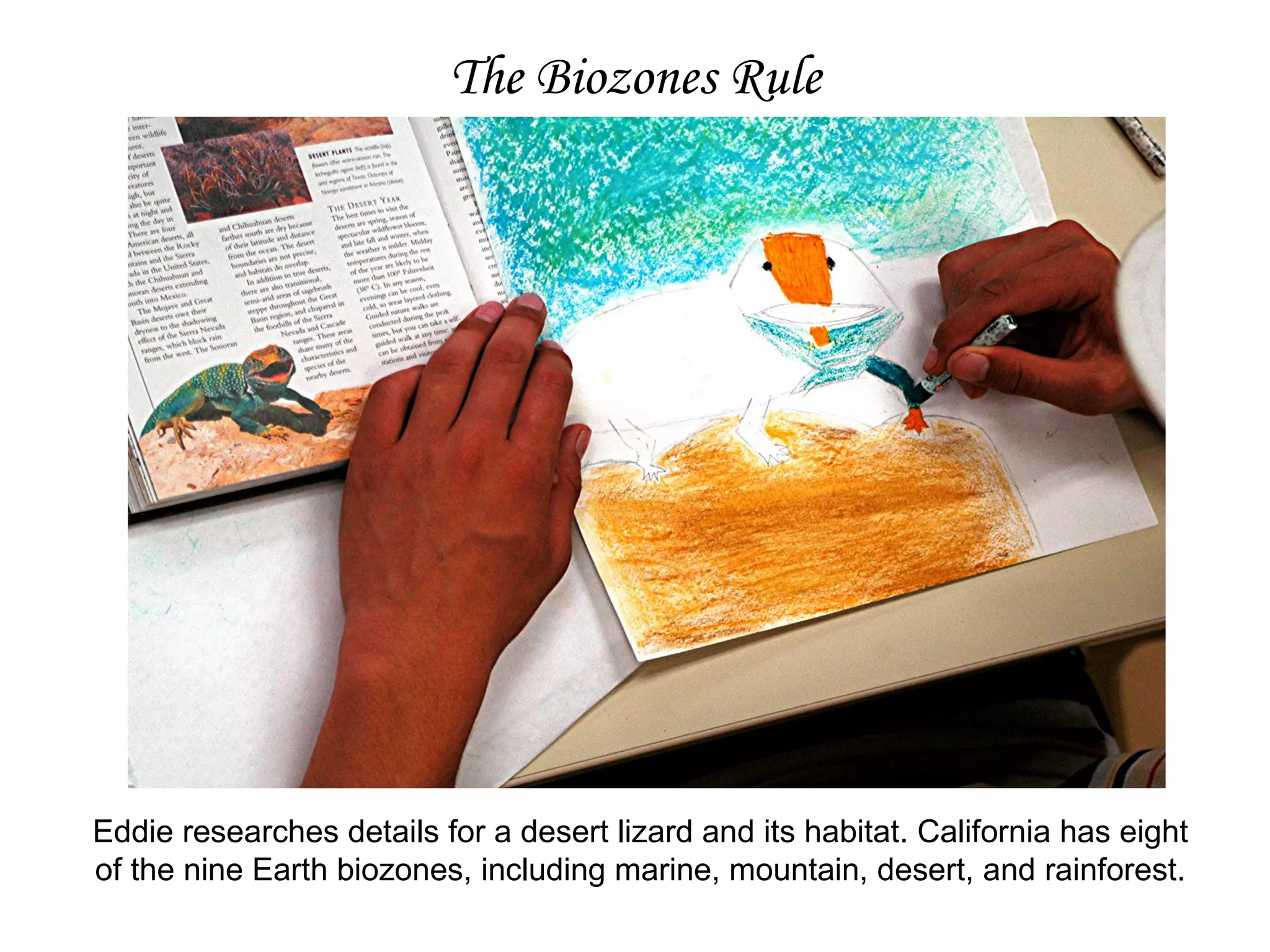 The Biozones Rule Eddie researches details for a desert lizard and its habitat. California has eight of the nine Earth biozones, including marine, mountain, desert, and rainforest. 