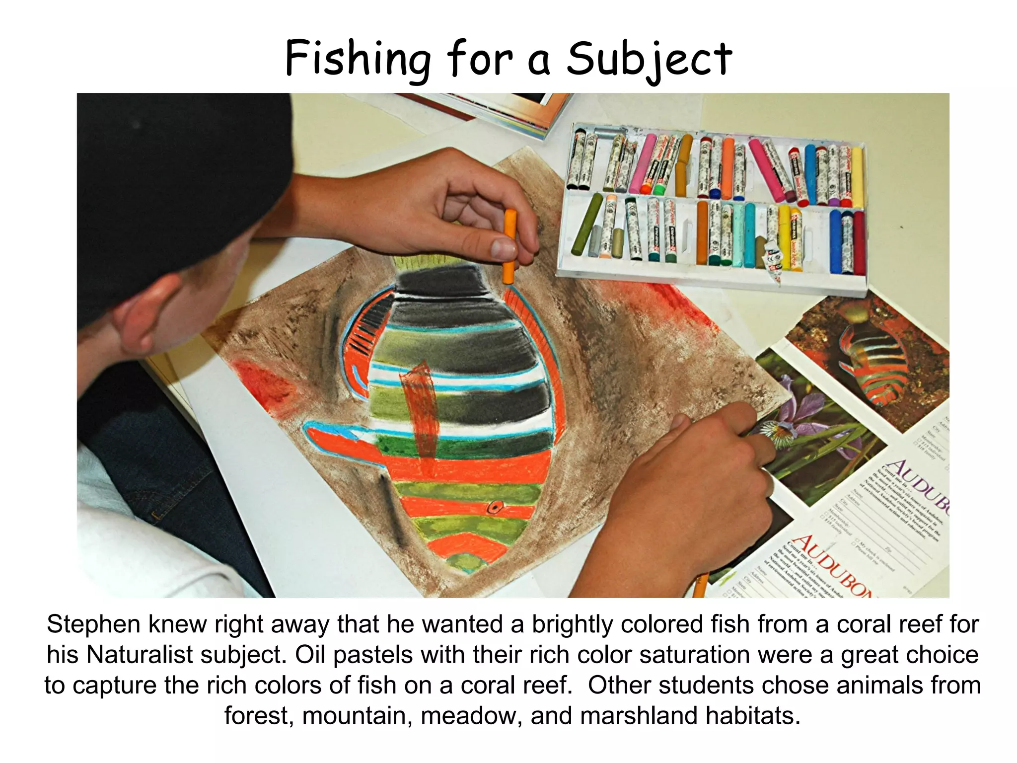 Fishing for a Subject Stephen knew right away that he wanted a brightly colored fish from a coral reef for his Naturalist subject. Oil pastels with their rich color saturation were a great choice to capture the rich colors of fish on a coral reef.  Other students chose animals from forest, mountain, meadow, and marshland habitats. 