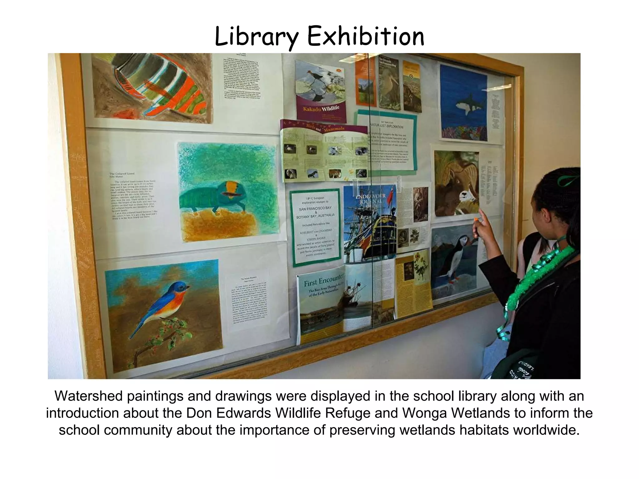 Library Exhibition Watershed paintings and drawings were displayed in the school library along with an introduction about the Don Edwards Wildlife Refuge and Wonga Wetlands to inform the school community about the importance of preserving wetlands habitats worldwide. 