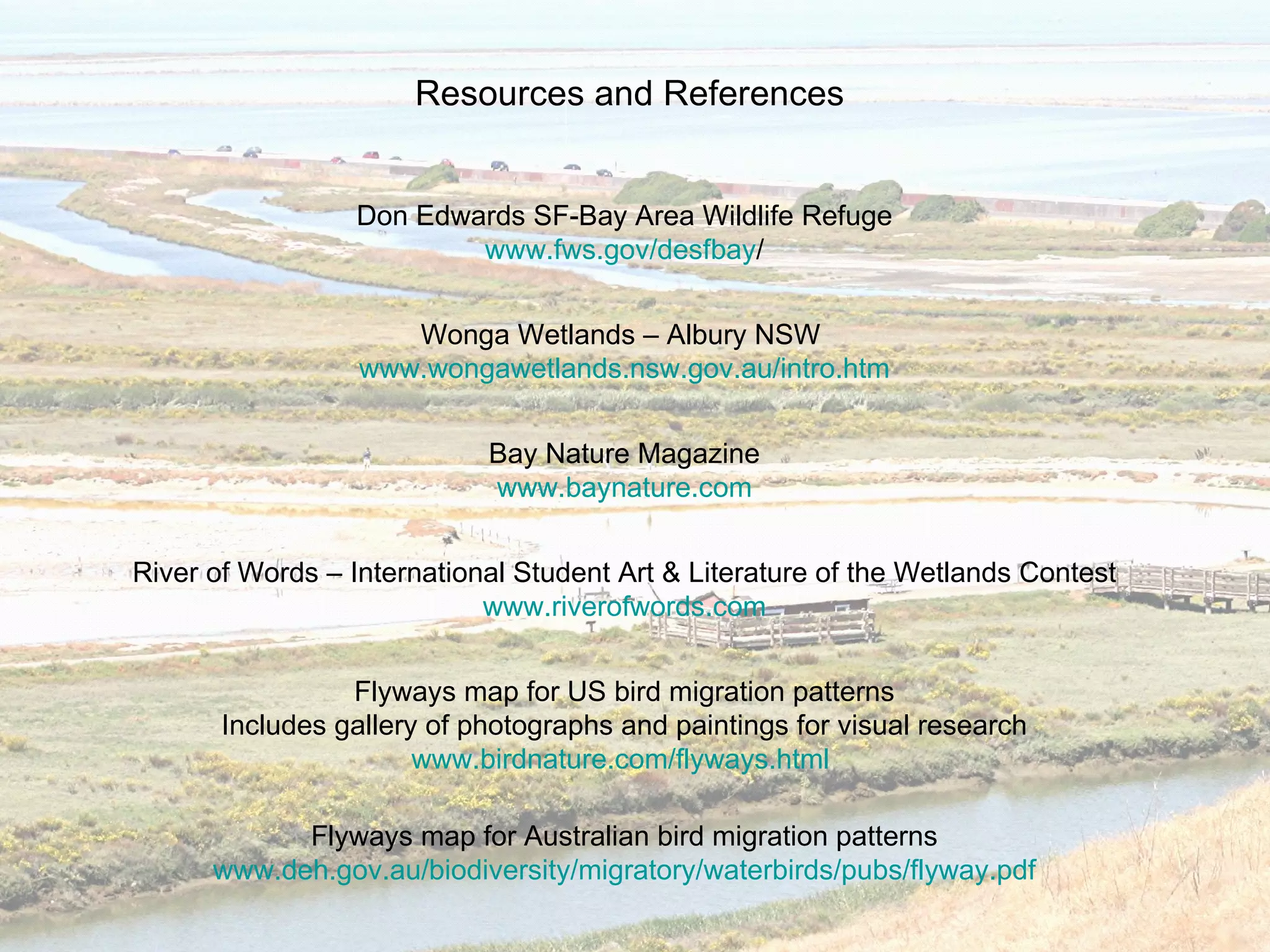 Don Edwards SF-Bay Area Wildlife Refuge www.fws.gov/desfbay / Wonga Wetlands – Albury NSW  www.wongawetlands.nsw.gov.au/intro.htm Bay Nature Magazine www.baynature.com River of Words – International Student Art & Literature of the Wetlands Contest www.riverofwords.com Flyways map for US bird migration patterns  Includes gallery of photographs and paintings for visual research  www.birdnature.com/flyways.html   Flyways map for Australian bird migration patterns www.deh.gov.au/biodiversity/migratory/waterbirds/pubs/flyway.pdf Resources and References 