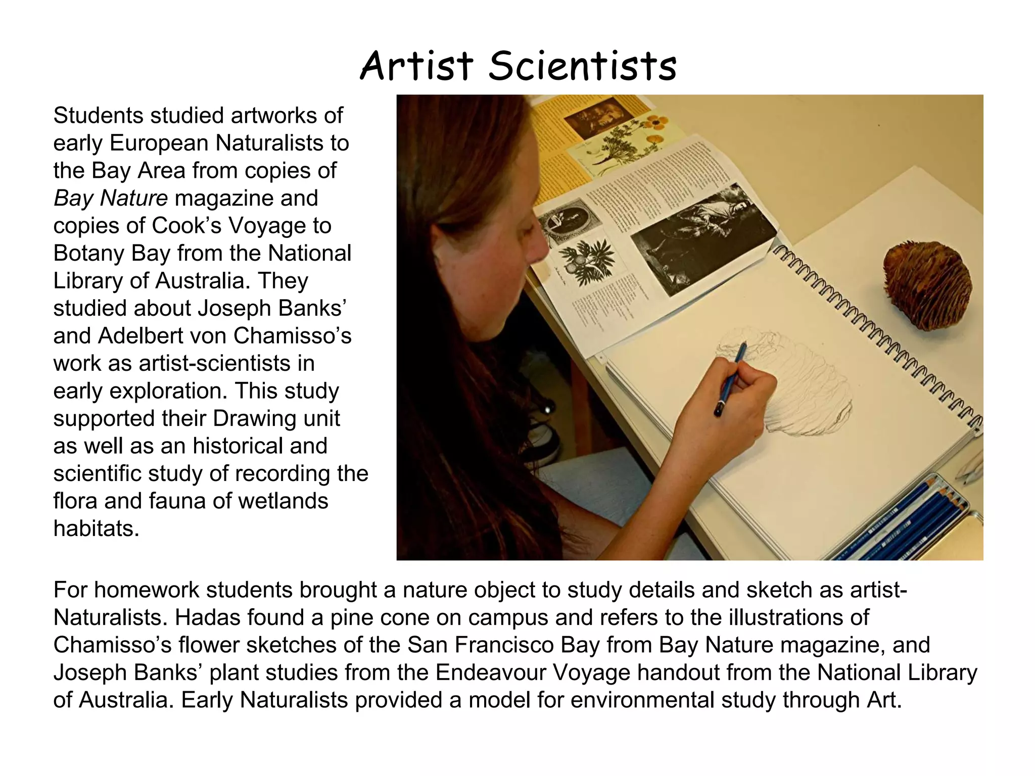 Artist Scientists Students studied artworks of early European Naturalists to the Bay Area from copies of  Bay Nature  magazine and copies of Cook’s Voyage to Botany Bay from the National Library of Australia. They studied about Joseph Banks’ and Adelbert von Chamisso’s work as artist-scientists in early exploration. This study supported their Drawing unit as well as an historical and scientific study of recording the flora and fauna of wetlands habitats. For homework students brought a nature object to study details and sketch as artist-Naturalists. Hadas found a pine cone on campus and refers to the illustrations of Chamisso’s flower sketches of the San Francisco Bay from Bay Nature magazine, and Joseph Banks’ plant studies from the Endeavour Voyage handout from the National Library of Australia. Early Naturalists provided a model for environmental study through Art. 