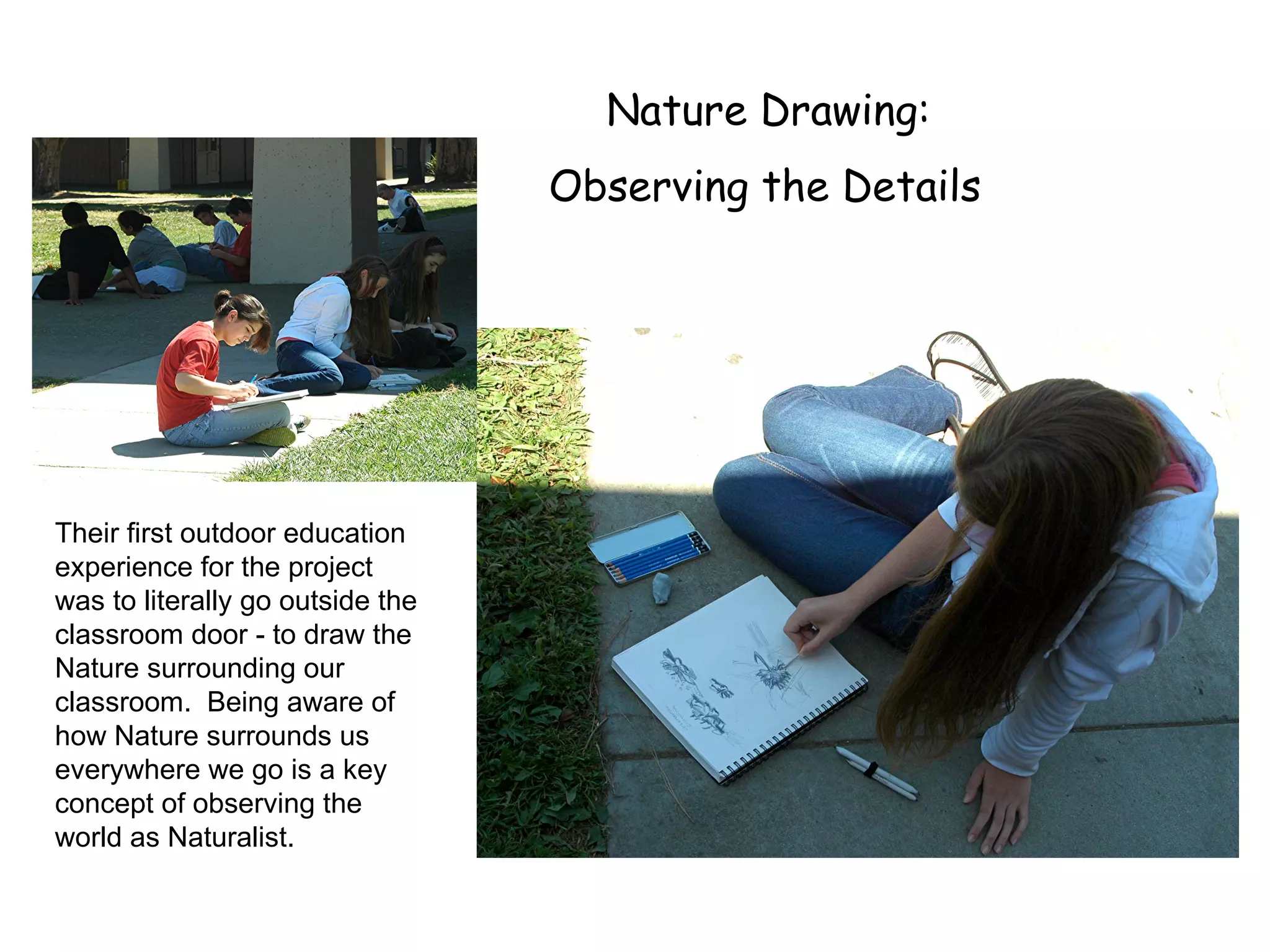   Nature Drawing:    Observing the Details   Their first outdoor education experience for the project was to literally go outside the classroom door - to draw the Nature surrounding our classroom.  Being aware of how Nature surrounds us everywhere we go is a key concept of observing the world as Naturalist. 