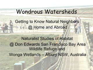 Wondrous Watersheds Getting to Know Natural Neighbors  @ Home and Abroad Naturalist Studies of Habitat  @ Don Edwards San Francisco Bay Area Wildlife Refuge and  Wonga Wetlands – Albury NSW, Australia 