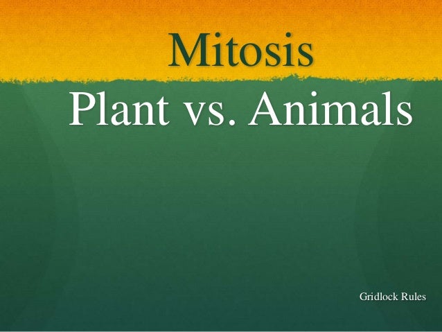 Wong. LP 6 Animal vs. Plant MItosis