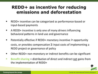 Lessons for equitable REDD+ benefit sharing from community forestry ...