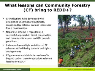 Lessons for equitable REDD+ benefit sharing from community forestry practices in Indonesia and Nepal