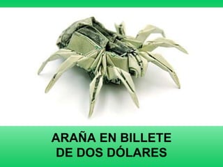 ARAÑA EN BILLETE
DE DOS DÓLARES
 
