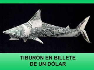 TIBURÓN EN BILLETE
   DE UN DÓLAR
 