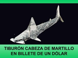 TIBURÓN CABEZA DE MARTILLO
   EN BILLETE DE UN DÓLAR
 
