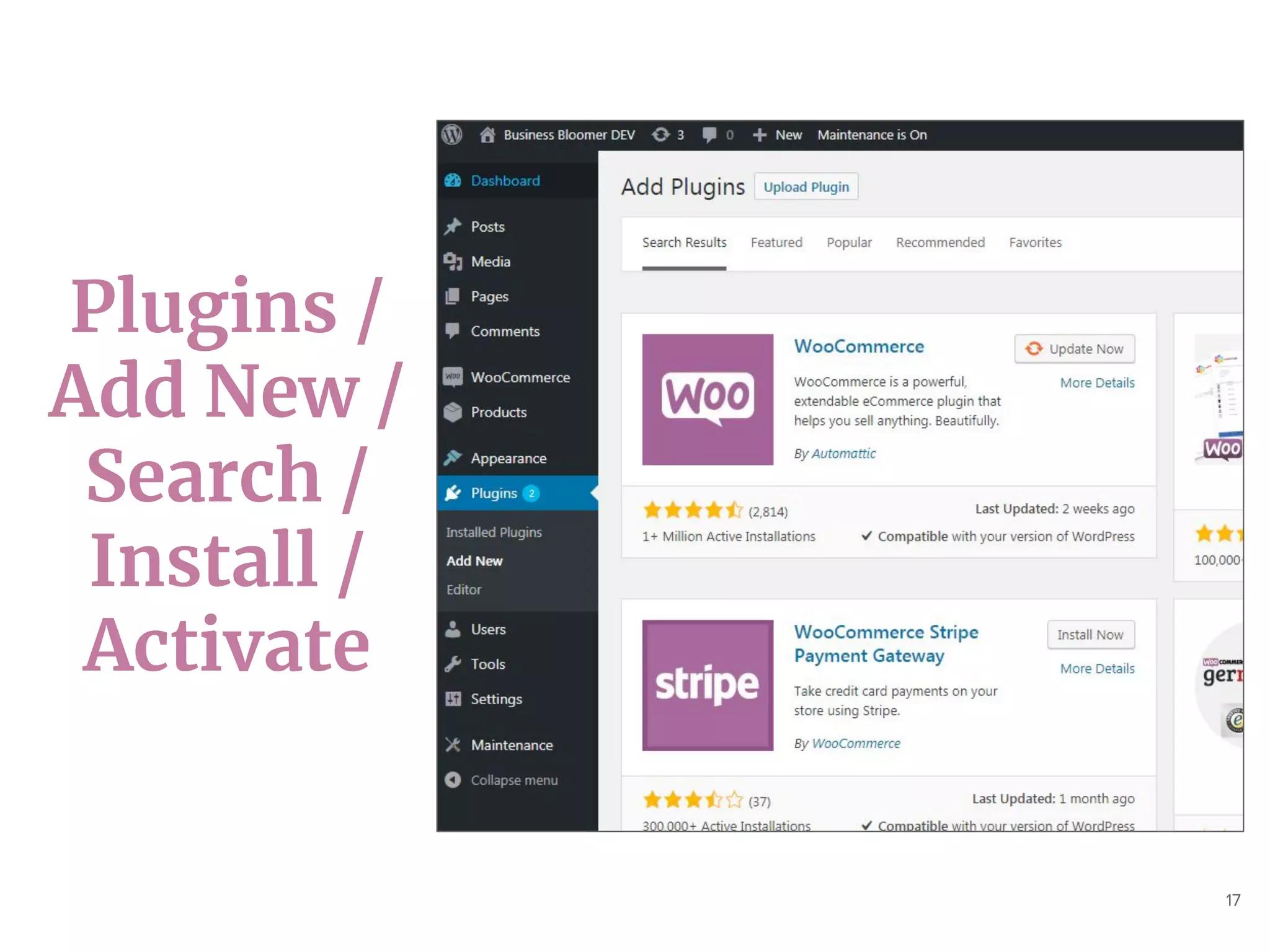 17
Plugins /
Add New /
Search /
Install /
Activate
 