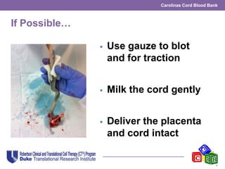 Carolinas Cord Blood Bank
If Possible…
 Use gauze to blot
and for traction
 Milk the cord gently
 Deliver the placenta
and cord intact
 