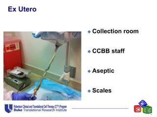 Ex Utero
 Collection room
 CCBB staff
 Aseptic
 Scales
 