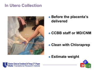 In Utero Collection
 Before the placenta’s
delivered
 CCBB staff or MD/CNM
 Clean with Chloraprep
 Estimate weight
 