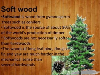 Soft wood
•Softwood is wood from gymnosperm
trees such as conifers
• Softwood is the source of about 80%
of the world's production of timber
• Softwoods are not necessarily softer
than hardwoods
•The woods of long leaf pine, douglas
fir, and yew are much harder in the
mechanical sense than
several hardwoods
 