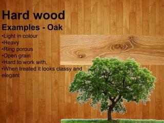 Hard wood
Examples - Oak
•Light in colour
•Heavy
•Ring porous
•Open grain
•Hard to work with.
•When treated it looks classy and
elegant
 