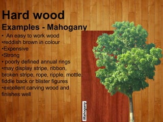 Hard wood
Examples - Mahogany
• An easy to work wood
•reddish brown in colour
•Expensive
•Strong
• poorly defined annual rings
•may display stripe, ribbon,
broken stripe, rope, ripple, mottle,
fiddle back or blister figures
•excellent carving wood and
finishes well
 
