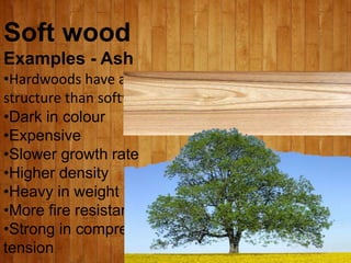 Soft wood
Examples - Ash
•Hardwoods have a more complex
structure than softwoods
•Dark in colour
•Expensive
•Slower growth rate
•Higher density
•Heavy in weight
•More fire resistant than soft wood
•Strong in compression and
tension
 