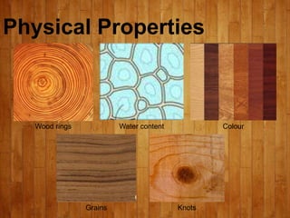 Physical Properties
Wood rings Water content Colour
Grains Knots
 