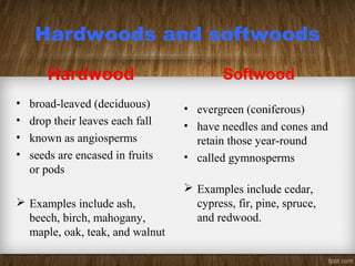Hardwoods and softwoods
Hardwood
• broad-leaved (deciduous)
• drop their leaves each fall
• known as angiosperms
• seeds are encased in fruits
or pods
 Examples include ash,
beech, birch, mahogany,
maple, oak, teak, and walnut
Softwood
• evergreen (coniferous)
• have needles and cones and
retain those year-round
• called gymnosperms
 Examples include cedar,
cypress, fir, pine, spruce,
and redwood.
 
