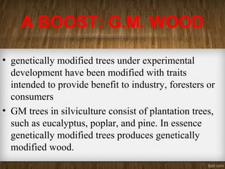 A BOOST: G.M. WOOD
• genetically modified trees under experimental
development have been modified with traits
intended to provide benefit to industry, foresters or
consumers
• GM trees in silviculture consist of plantation trees,
such as eucalyptus, poplar, and pine. In essence
genetically modified trees produces genetically
modified wood.
 
